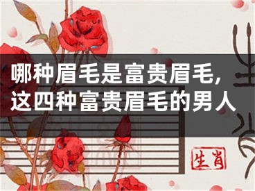 哪种眉毛是富贵眉毛,这四种富贵眉毛的男人