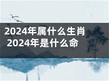 2024年属什么生肖 2024年是什么命