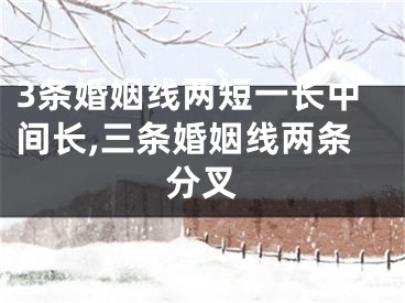 3条婚姻线两短一长中间长,三条婚姻线两条分叉