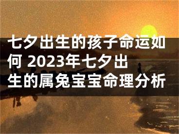 七夕出生的孩子命运如何 2023年七夕出生的属兔宝宝命理分析