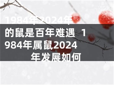 1984年2024年的鼠是百年难遇  1984年属鼠2024年发展如何