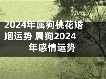 2024年属狗桃花婚姻运势 属狗2024年感情运势