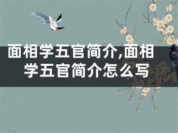 面相学五官简介,面相学五官简介怎么写