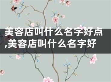 美容店叫什么名字好点,美容店叫什么名字好