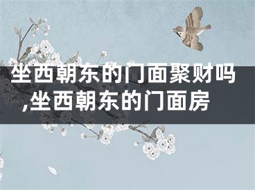 坐西朝东的门面聚财吗,坐西朝东的门面房