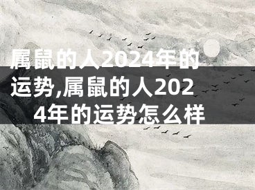 属鼠的人2024年的运势,属鼠的人2024年的运势怎么样