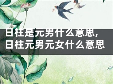 日柱是元男什么意思,日柱元男元女什么意思