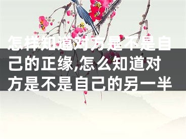 怎样知道对方是不是自己的正缘,怎么知道对方是不是自己的另一半