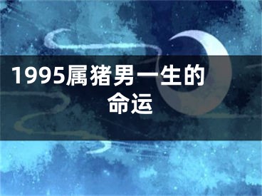 1995属猪男一生的命运