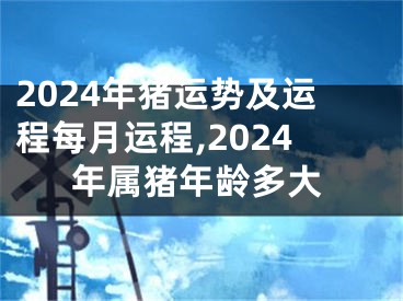 2024年猪运势及运程每月运程,2024年属猪年龄多大