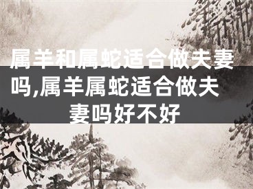 属羊和属蛇适合做夫妻吗,属羊属蛇适合做夫妻吗好不好