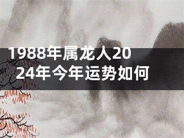 1988年属龙人2024年今年运势如何