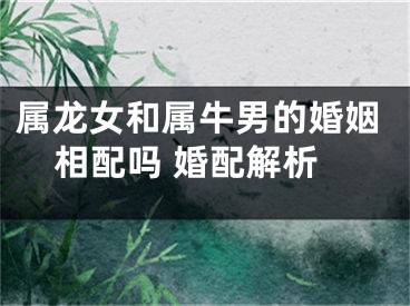 属龙女和属牛男的婚姻相配吗 婚配解析