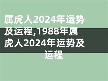 属虎人2024年运势及运程,1988年属虎人2024年运势及运程
