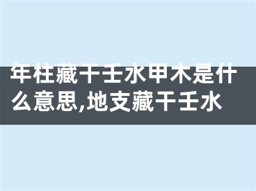 年柱藏干壬水甲木是什么意思,地支藏干壬水