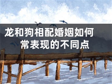 龙和狗相配婚姻如何 常表现的不同点