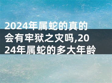 2024年属蛇的真的会有牢狱之灾吗,2024年属蛇的多大年龄