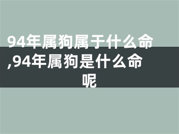 94年属狗属于什么命,94年属狗是什么命呢