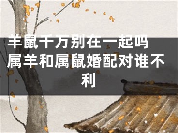 羊鼠千万别在一起吗 属羊和属鼠婚配对谁不利