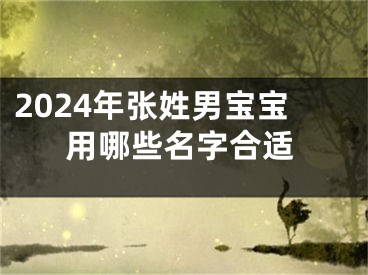2024年张姓男宝宝用哪些名字合适