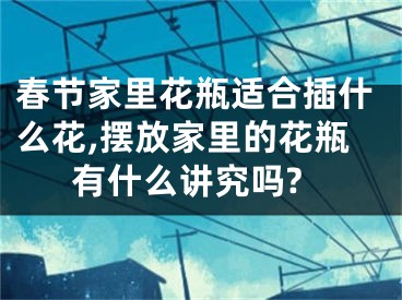春节家里花瓶适合插什么花,摆放家里的花瓶有什么讲究吗?