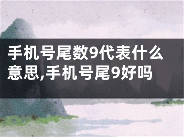 手机号尾数9代表什么意思,手机号尾9好吗