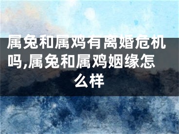 属兔和属鸡有离婚危机吗,属兔和属鸡姻缘怎么样