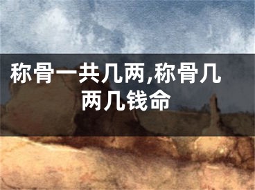 称骨一共几两,称骨几两几钱命
