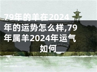 79年的羊在2024年的运势怎么样,79年属羊2024年运气如何