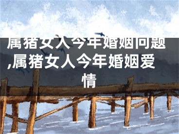 属猪女人今年婚姻问题,属猪女人今年婚姻爱情