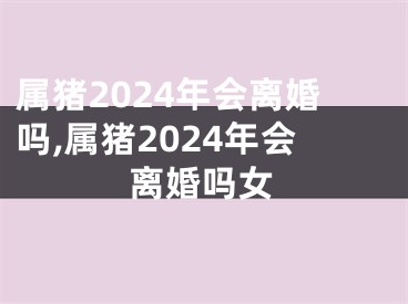 属猪2024年会离婚吗,属猪2024年会离婚吗女