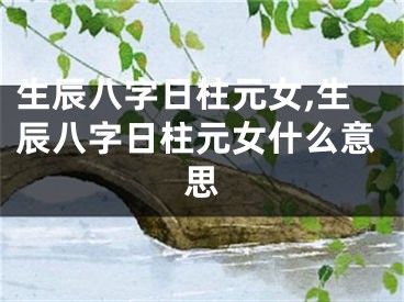 生辰八字日柱元女,生辰八字日柱元女什么意思