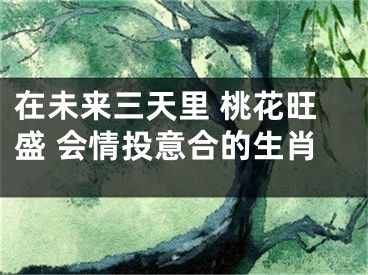 在未来三天里 桃花旺盛 会情投意合的生肖