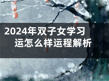 2024年双子女学习运怎么样运程解析