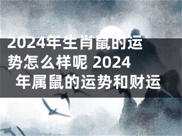 2024年生肖鼠的运势怎么样呢 2024年属鼠的运势和财运