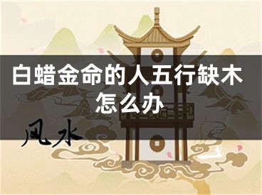 白蜡金命的人五行缺木怎么办