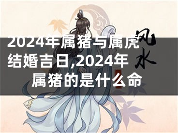 2024年属猪与属虎结婚吉日,2024年属猪的是什么命