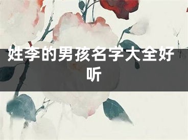 姓李的男孩名字大全好听