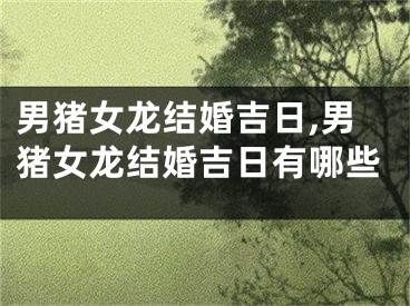 男猪女龙结婚吉日,男猪女龙结婚吉日有哪些
