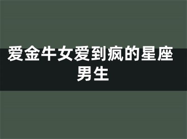 爱金牛女爱到疯的星座男生