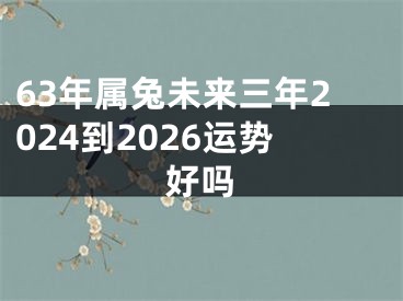 63年属兔未来三年2024到2026运势好吗