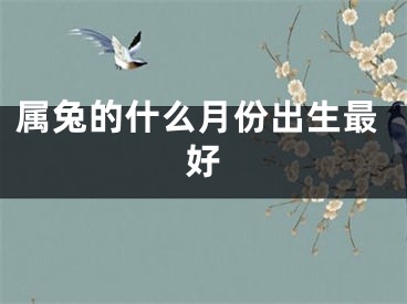 属兔的什么月份出生最好