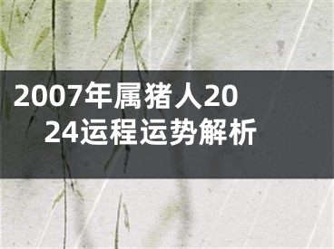 2007年属猪人2024运程运势解析