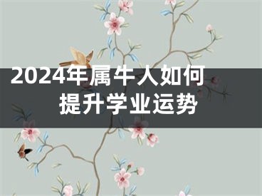 2024年属牛人如何提升学业运势