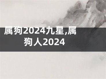 属狗2024九星,属狗人2024