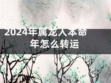 2024年属龙人本命年怎么转运