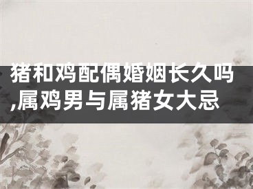 猪和鸡配偶婚姻长久吗,属鸡男与属猪女大忌