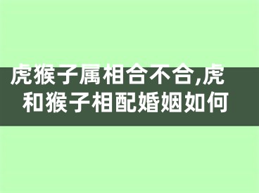 虎猴子属相合不合,虎和猴子相配婚姻如何
