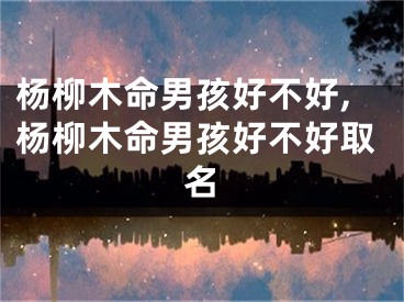 杨柳木命男孩好不好,杨柳木命男孩好不好取名