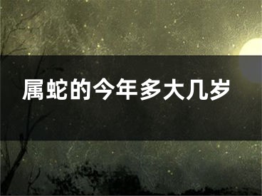 属蛇的今年多大几岁
